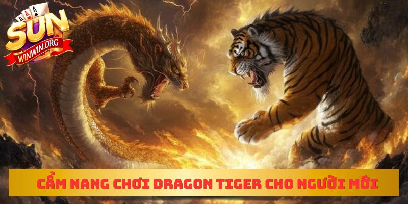 Cẩm nang chơi Dragon Tiger cho người mới bắt đầu