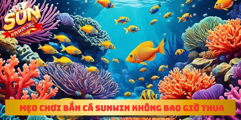 Mẹo chơi bắn cá sunwin không bao giờ thua 